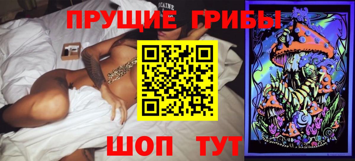 Псилоцибиновые грибы Psilocybine cubensis Прохладный